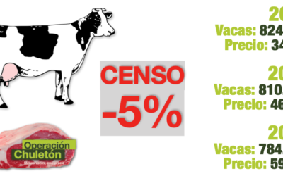Operación Chuletón: sacrificar el 5% de las vacas es rentable